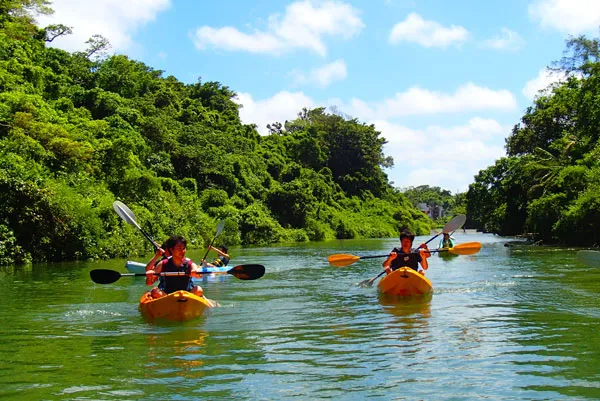 マングローブカヤック