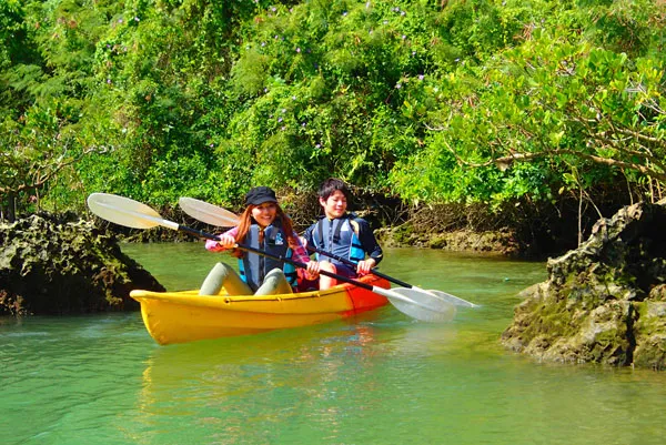 マングローブカヤック