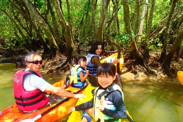 マングローブカヤック