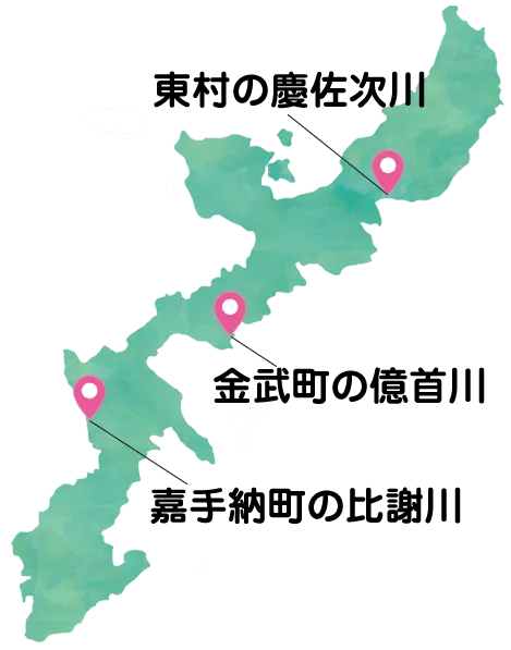 マングローブカヤックが楽しめるエリア