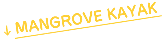MANGROVE KAYAK